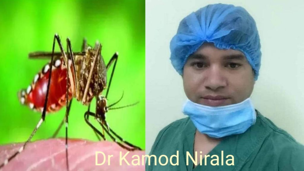 डेंगी रोगबाट सुरक्षित रहौं, रोकथाम गरौं, नियन्त्रण गरौं : डा.कमोद निराला